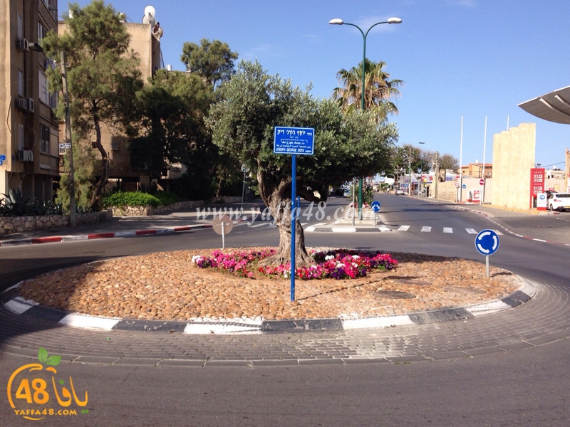 yosef jorgej deek (3).jpg